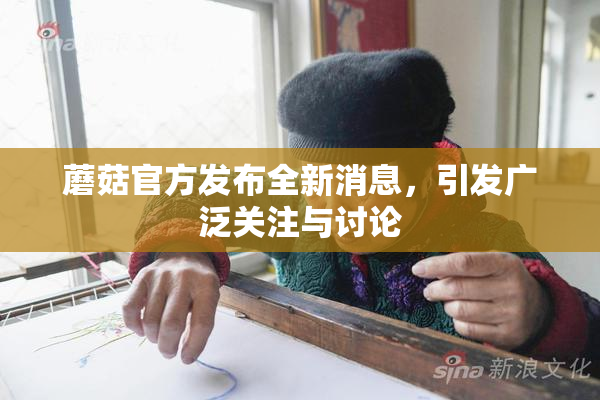 蘑菇官方发布全新消息，引发广泛关注与讨论
