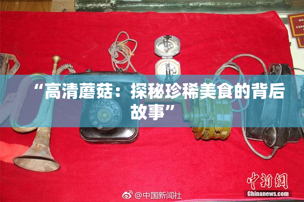 “高清蘑菇：探秘珍稀美食的背后故事”