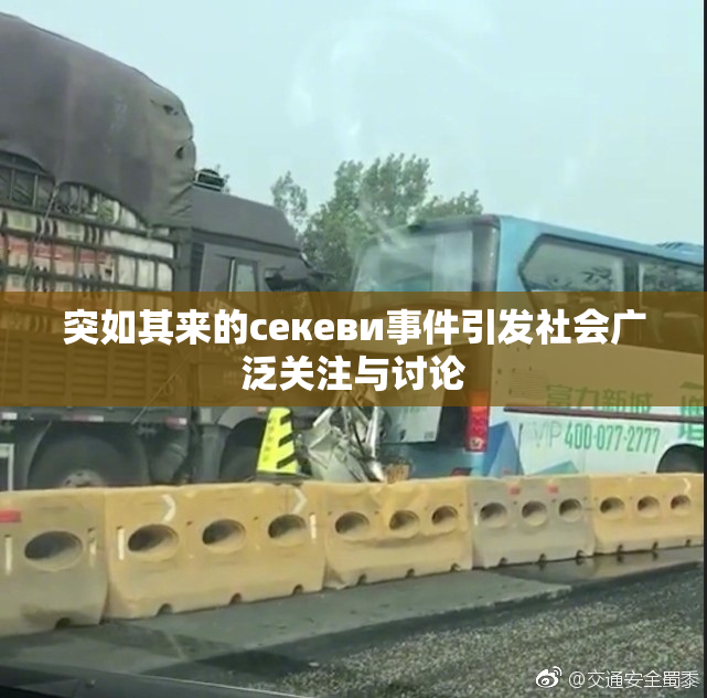 突如其来的ceкеви事件引发社会广泛关注与讨论