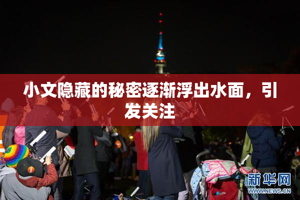小文隐藏的秘密逐渐浮出水面，引发关注