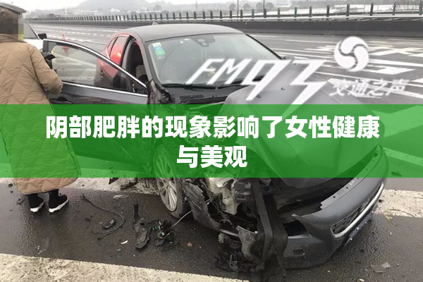 阴部肥胖的现象影响了女性健康与美观