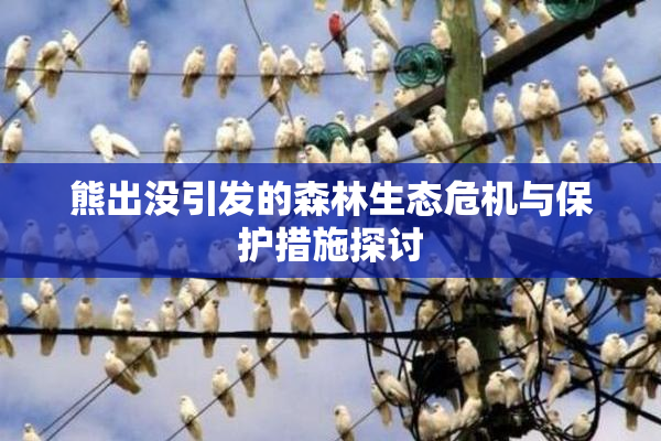 熊出没引发的森林生态危机与保护措施探讨