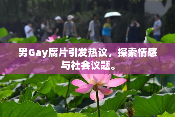 男Gay腐片引发热议，探索情感与社会议题。
