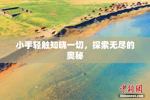 小手轻触知晓一切，探索无尽的奥秘