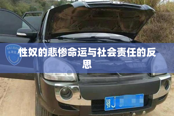 性奴的悲惨命运与社会责任的反思