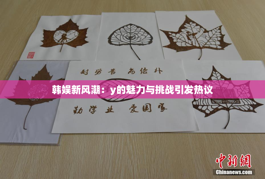 韩娱新风潮：y的魅力与挑战引发热议