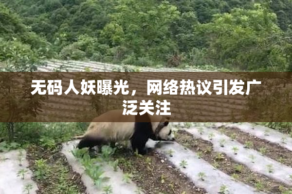 无码人妖曝光，网络热议引发广泛关注