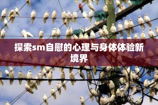 探索sm自慰的心理与身体体验新境界