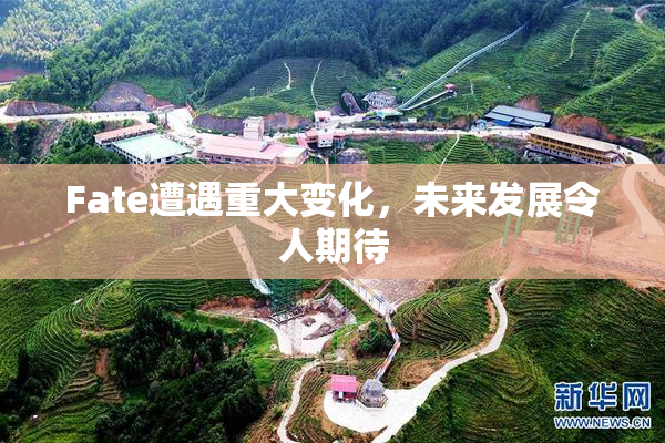 Fate遭遇重大变化，未来发展令人期待