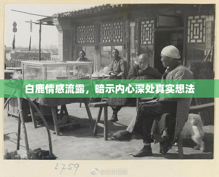 白鹿情感流露，暗示内心深处真实想法