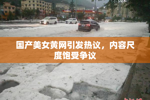 国产美女黄网引发热议，内容尺度饱受争议