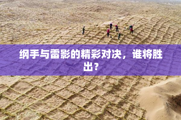 纲手与雷影的精彩对决，谁将胜出？