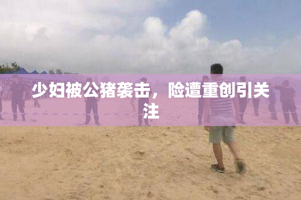 少妇被公猪袭击，险遭重创引关注