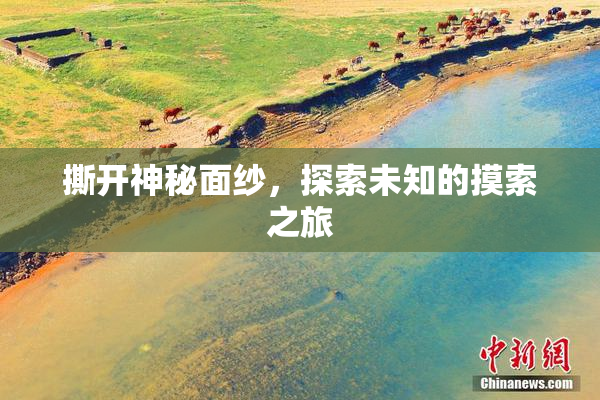 撕开神秘面纱，探索未知的摸索之旅
