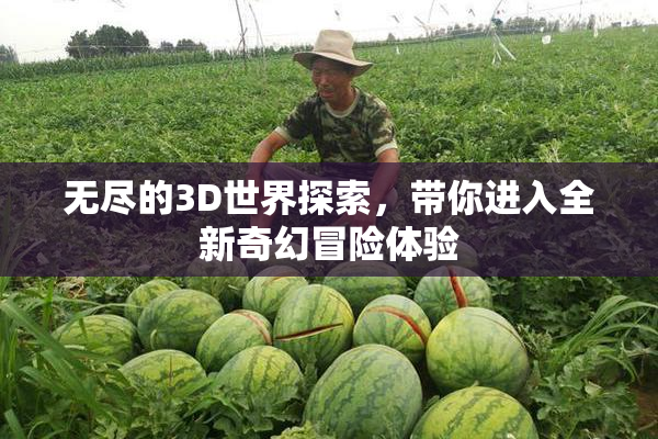 无尽的3D世界探索，带你进入全新奇幻冒险体验
