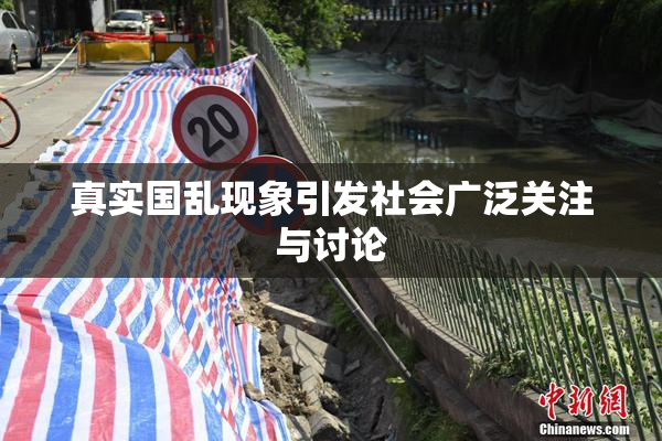 真实国乱现象引发社会广泛关注与讨论