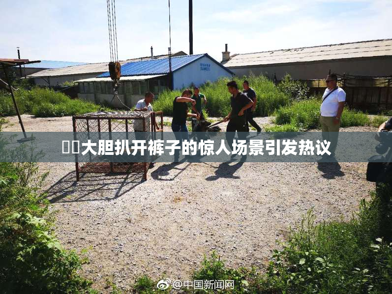 妺妺大胆扒开裤子的惊人场景引发热议