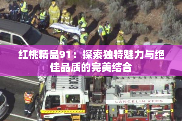 红桃精品91：探索独特魅力与绝佳品质的完美结合