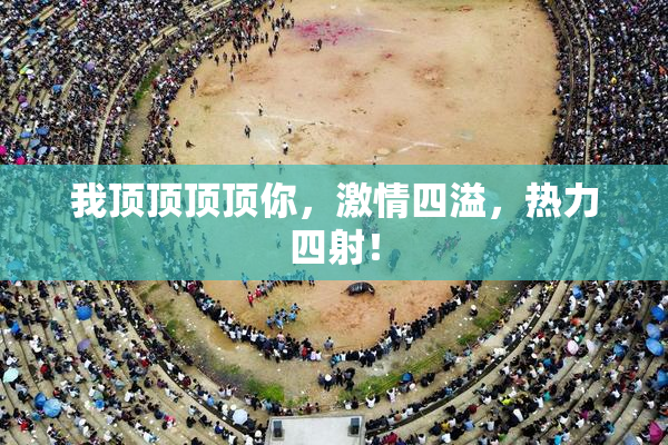 我顶顶顶顶你，激情四溢，热力四射！