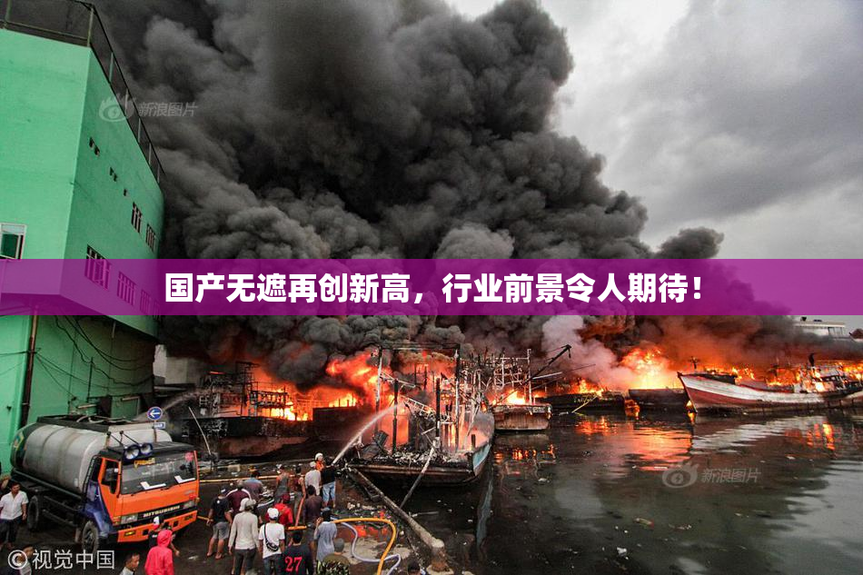 国产无遮再创新高，行业前景令人期待！