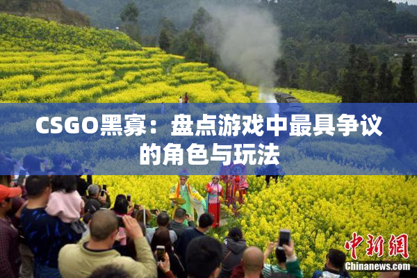 CSGO黑寡：盘点游戏中最具争议的角色与玩法