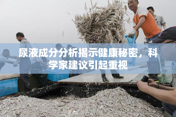 尿液成分分析揭示健康秘密，科学家建议引起重视