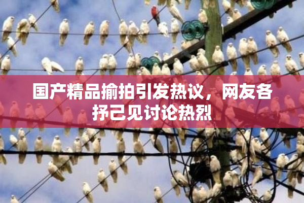 国产精品揄拍引发热议，网友各抒己见讨论热烈