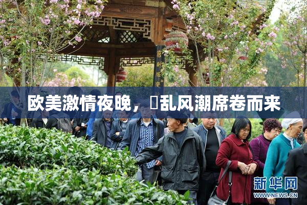 欧美激情夜晚，婬乱风潮席卷而来