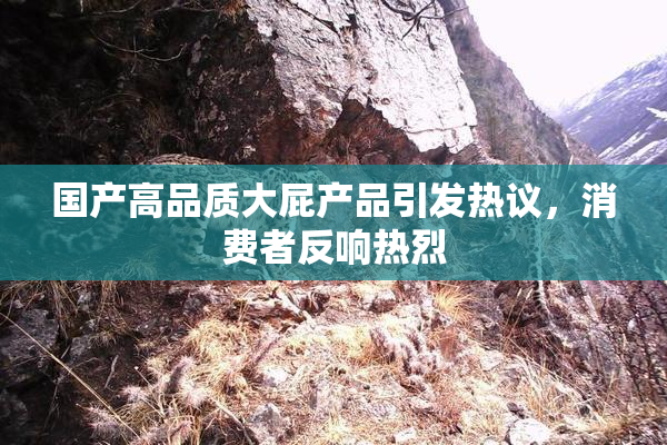 国产高品质大屁产品引发热议，消费者反响热烈