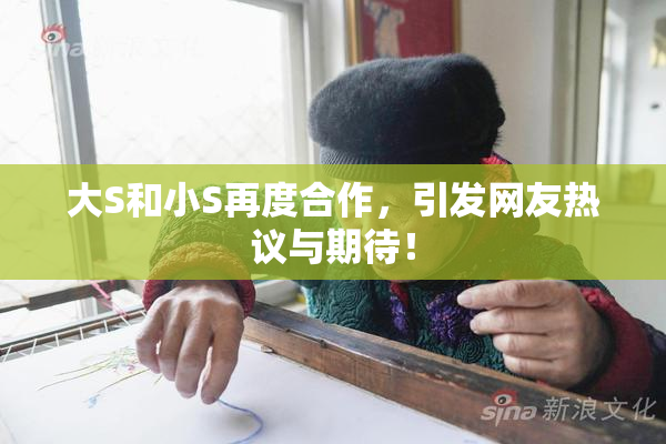 大S和小S再度合作，引发网友热议与期待！