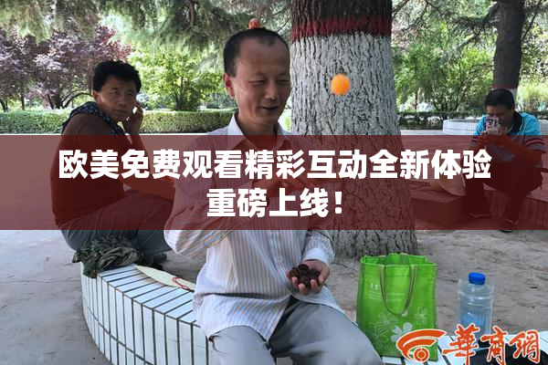 欧美免费观看精彩互动全新体验重磅上线！