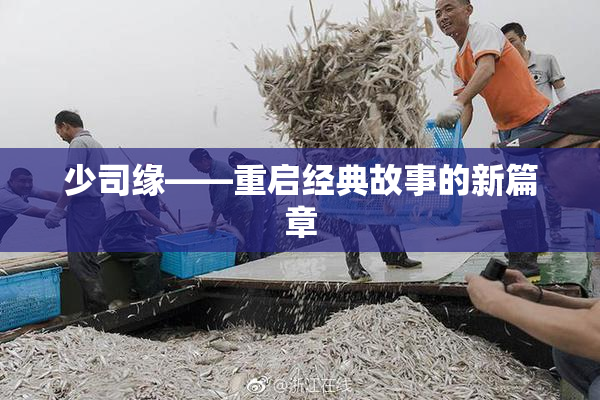 少司缘——重启经典故事的新篇章