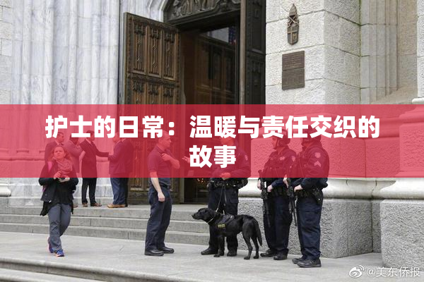 护士的日常：温暖与责任交织的故事