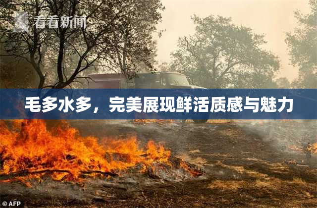 毛多水多，完美展现鲜活质感与魅力