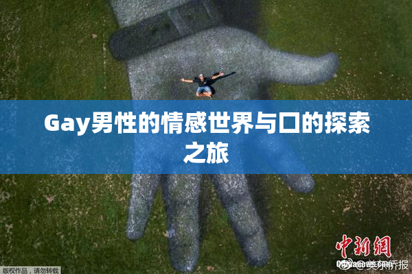 Gay男性的情感世界与囗的探索之旅