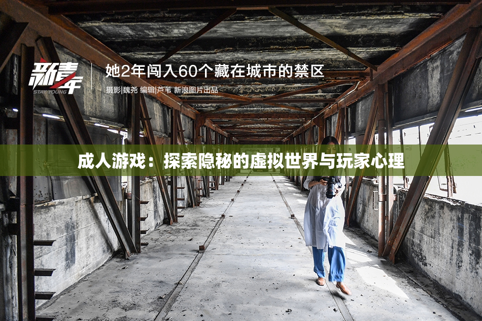 成人游戏：探索隐秘的虚拟世界与玩家心理