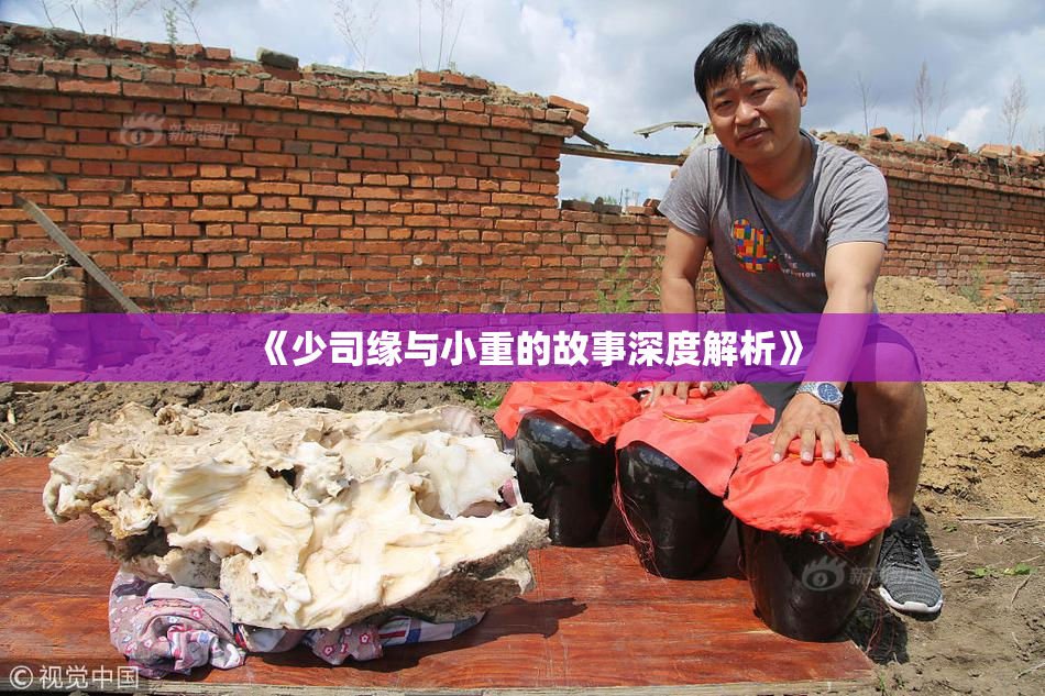《少司缘与小重的故事深度解析》