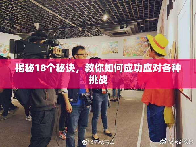 揭秘18个秘诀，教你如何成功应对各种挑战