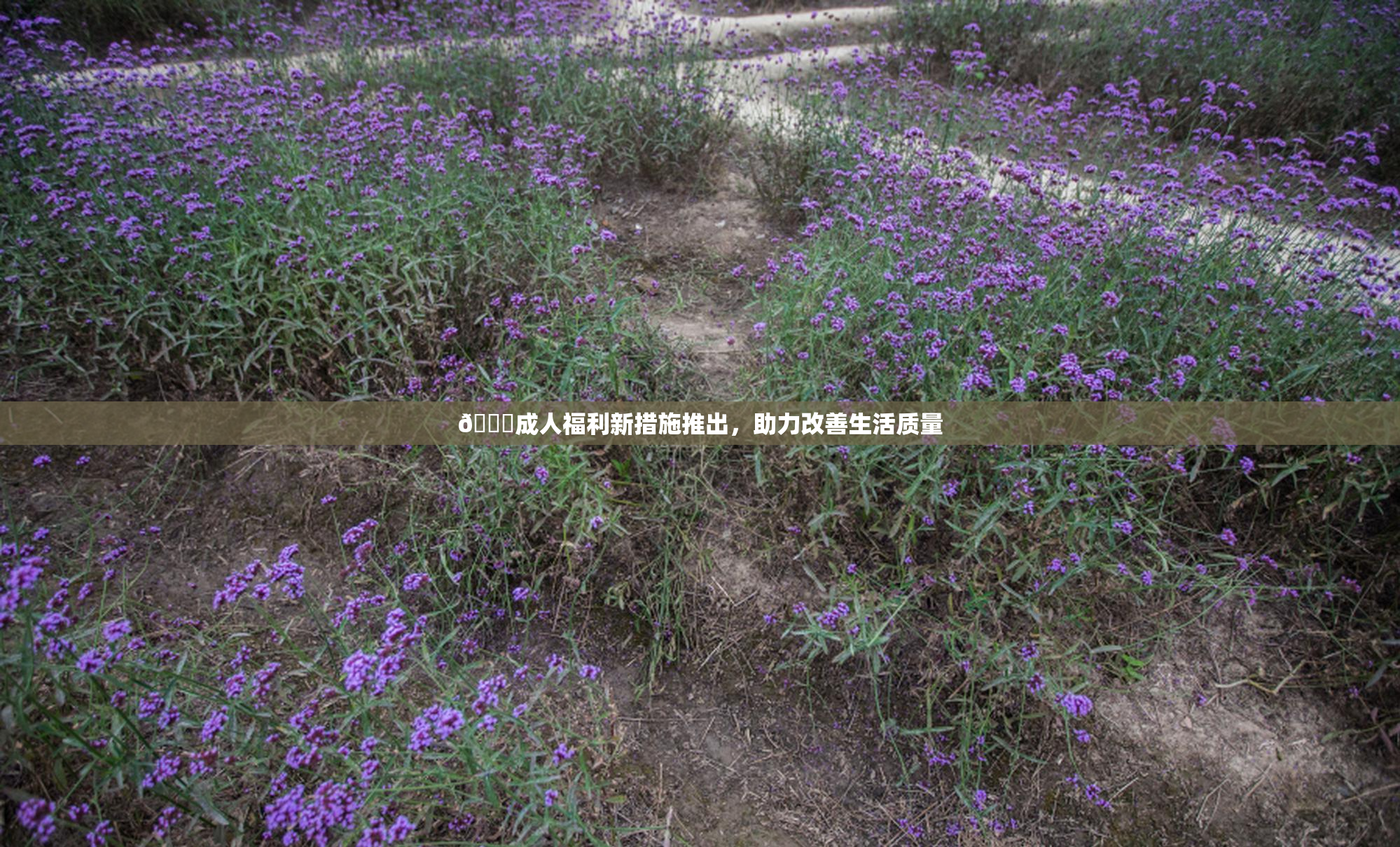 🔞成人福利新措施推出，助力改善生活质量