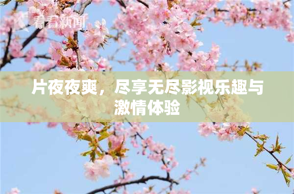 片夜夜爽，尽享无尽影视乐趣与激情体验