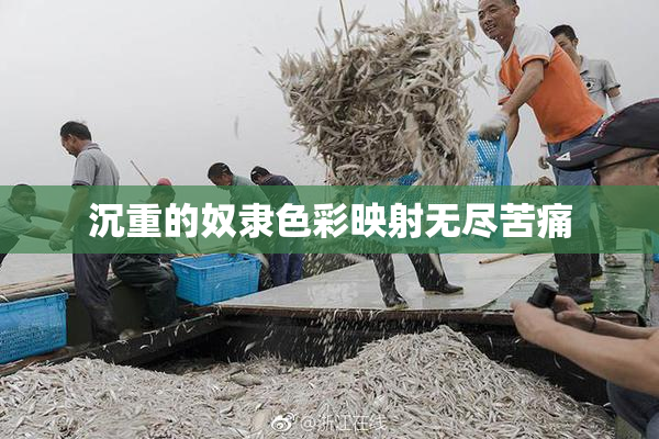 沉重的奴隶色彩映射无尽苦痛