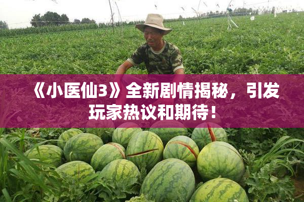 《小医仙3》全新剧情揭秘，引发玩家热议和期待！