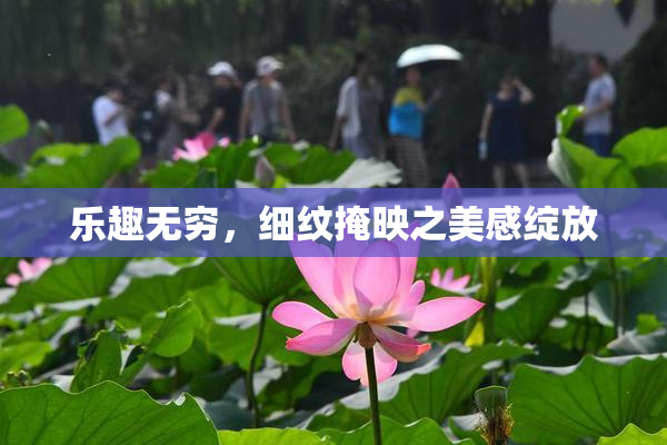 乐趣无穷，细纹掩映之美感绽放