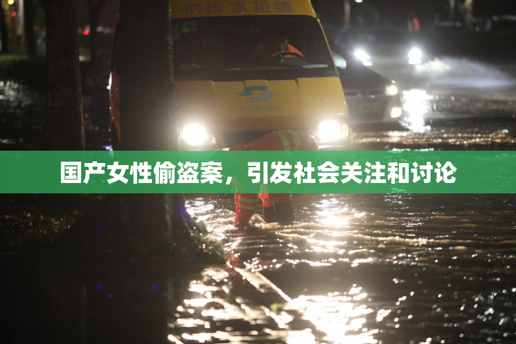 国产女性偷盗案，引发社会关注和讨论