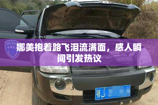 娜美抱着路飞泪流满面，感人瞬间引发热议