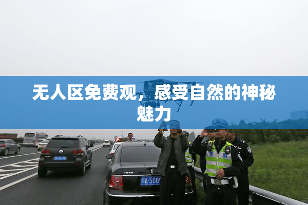 无人区免费观，感受自然的神秘魅力