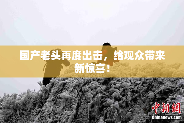国产老头再度出击，给观众带来新惊喜！