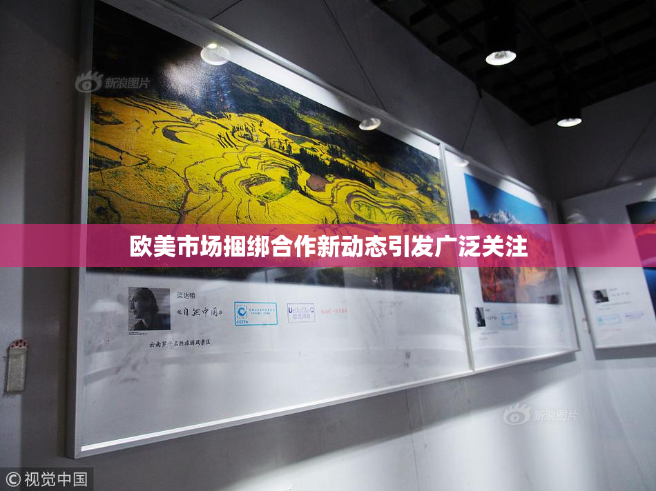 欧美市场捆绑合作新动态引发广泛关注