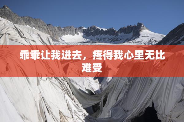 乖乖让我进去，疼得我心里无比难受