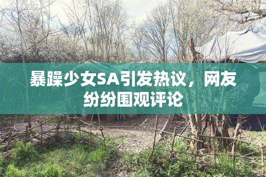 暴躁少女SA引发热议，网友纷纷围观评论